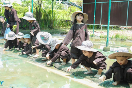 Một Ngày Học Không Bảng Không Bút, Bé Học Qua Thiên Nhiên Và Trải Nghiệm