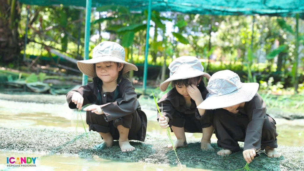 Bé mầm non ICANDY Preschool trải nghiệm làm nông dân nhí tại nông trại