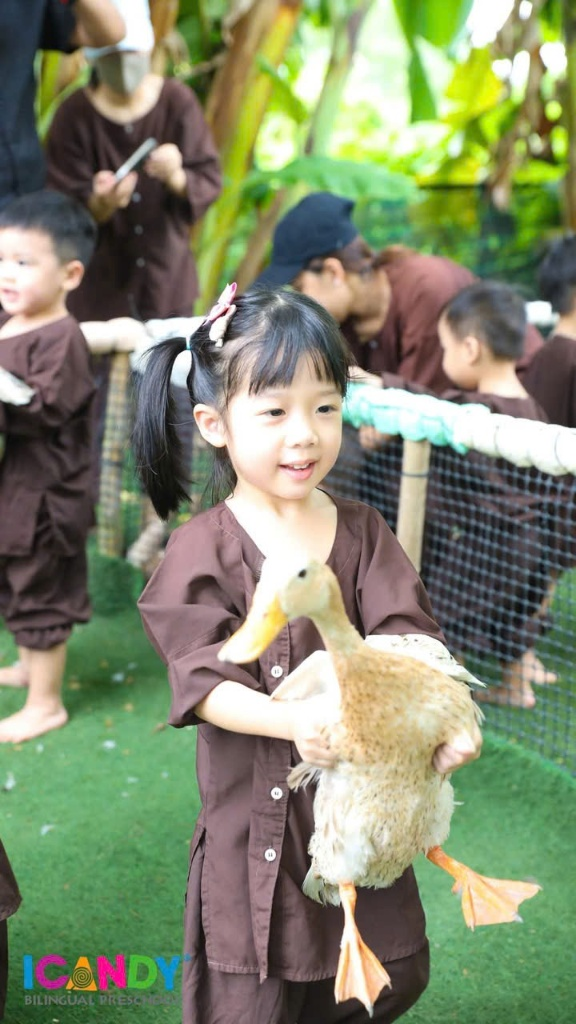 Bé mầm non ICANDY Preschool thích thú ôm chú vịt nhỏ trong chuyến dã ngoại