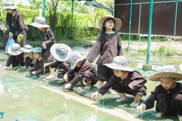 Một Ngày Học Không Bảng Không Bút, Bé Học Qua Thiên Nhiên Và Trải Nghiệm