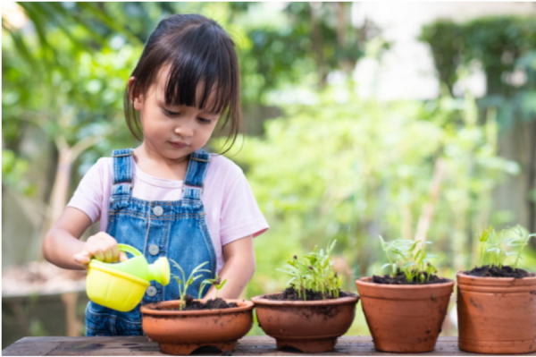 Preschool STEAM education program – Helping children explore the world through experience