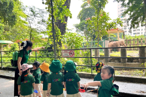 Review thực tế các trường mẫu giáo quận Bình Thạnh ICANDY từ góc nhìn phụ huynh